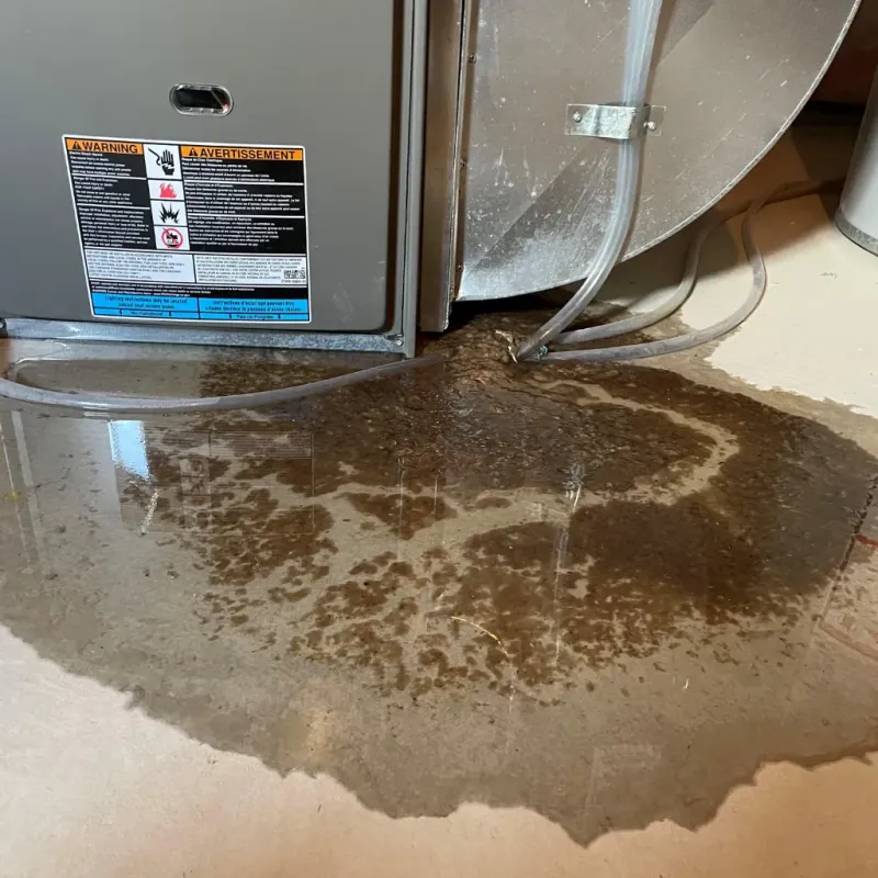 Appliance Leak Cleanup in Dunsmuir, CA